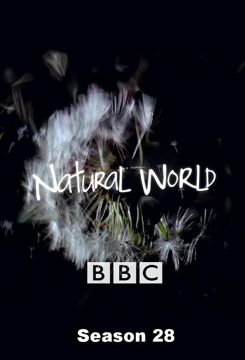Poster for Season 28