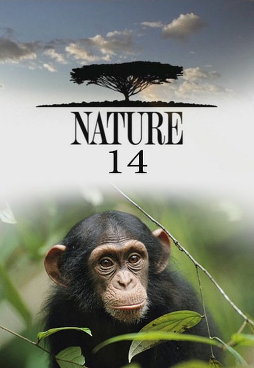 Poster for Season 14