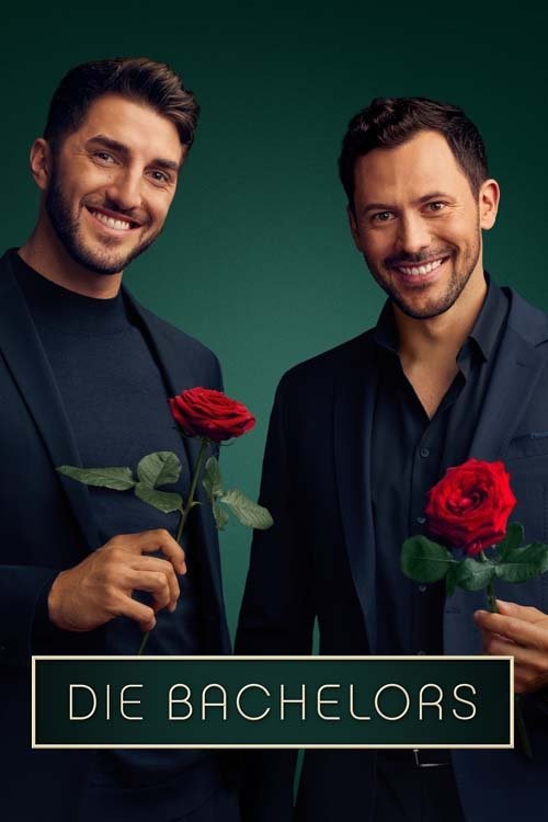 Poster for Season 14