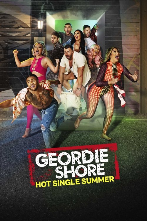 Poster for Hot Single Summer