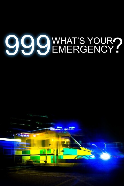 Poster for 999: What's Your Emergency?