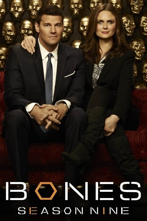 Poster for Season 9