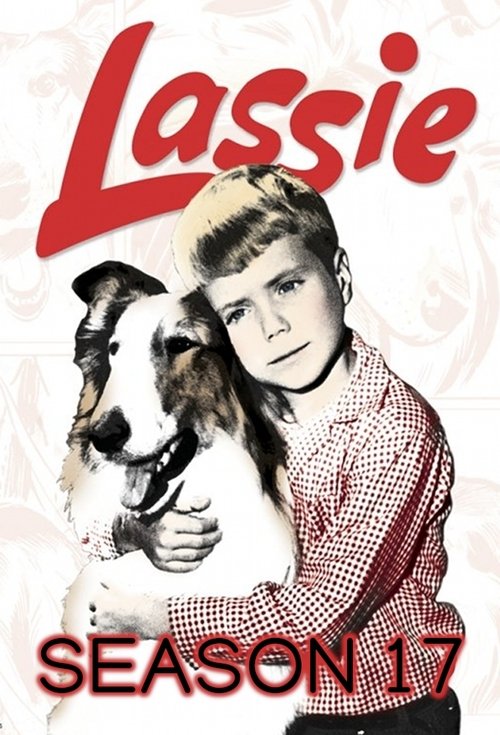 Poster for Season 17