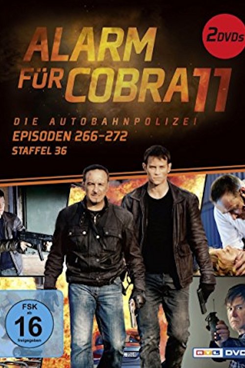 Poster for Season 36