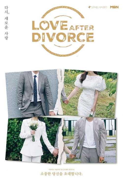 Poster for Love After Divorce