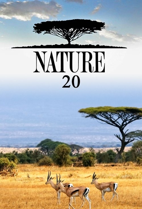 Poster for Season 20
