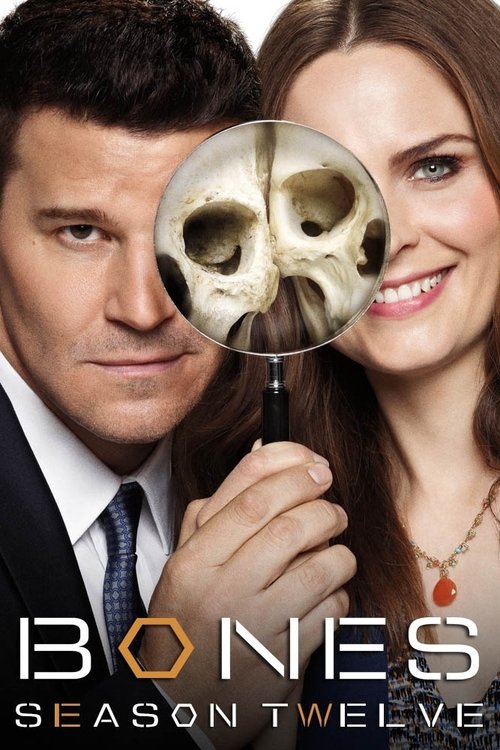 Poster for Season 12 - The Final Chapter
