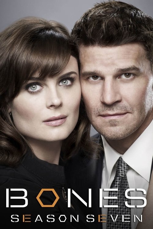 Poster for Season 7