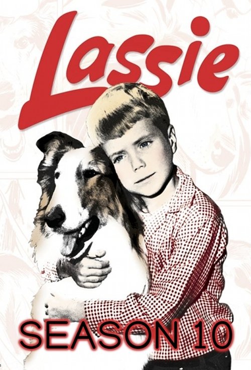 Poster for Season 10