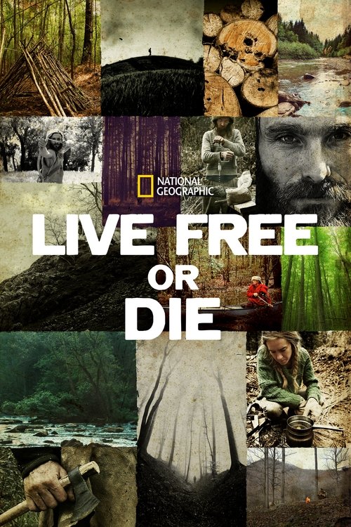 Poster for Live Free or Die