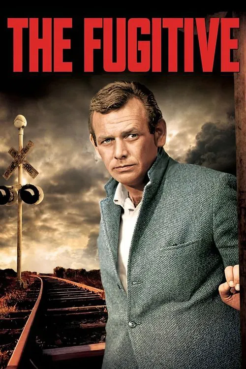 Poster for The Fugitive