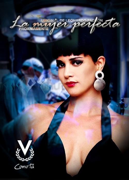 Poster for La mujer perfecta