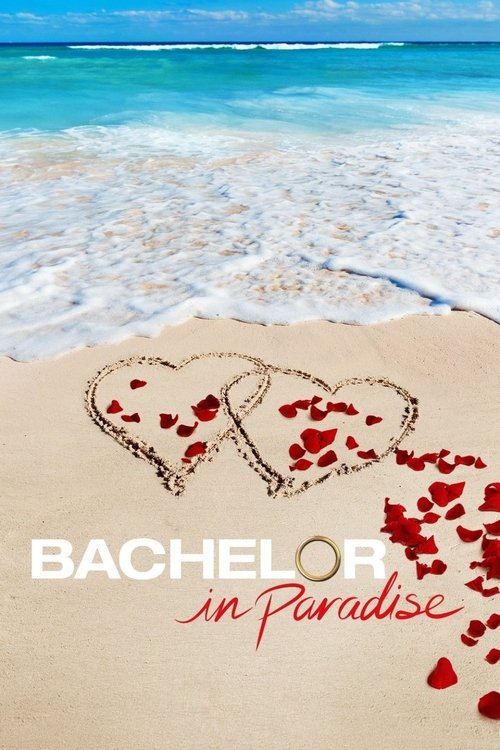 Poster for Season 4