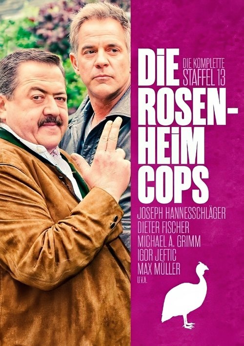 Poster for Season 13
