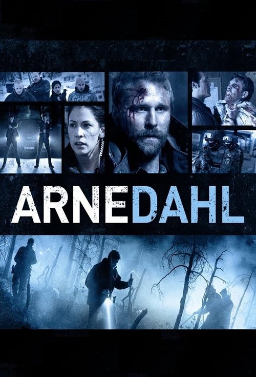Poster for Arne Dahl