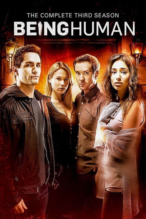 Poster for Season 3