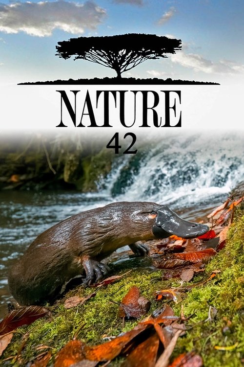 Poster for Season 42