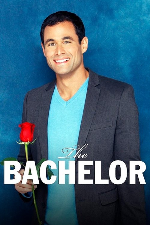 Poster for Season 13
