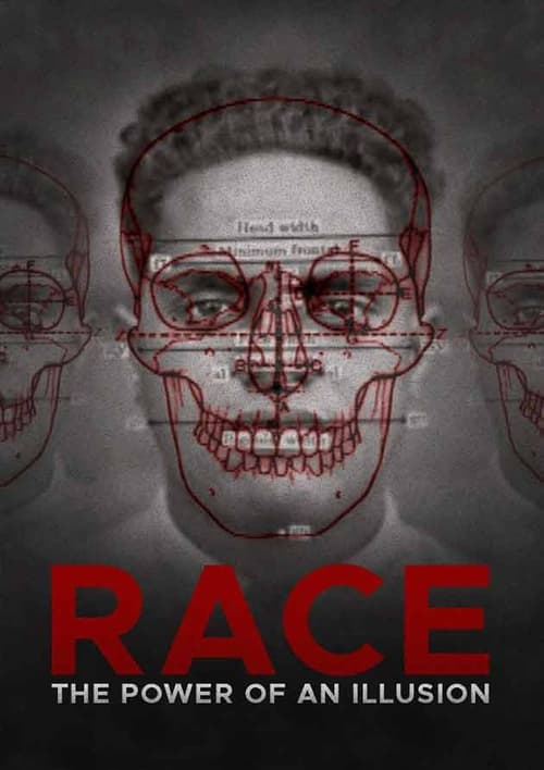 Poster for Race: The Power of an Illusion