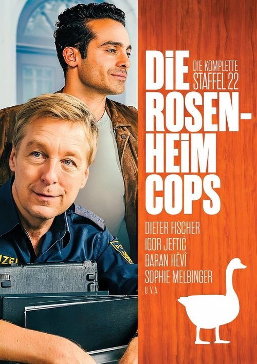 Poster for Season 22