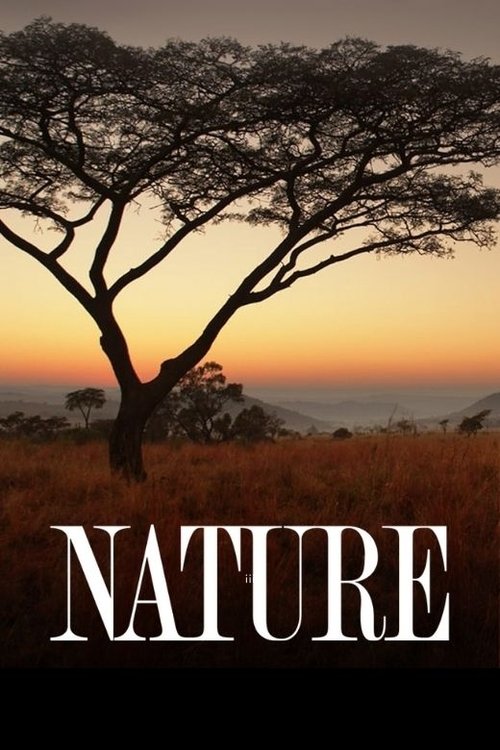 Poster for Nature