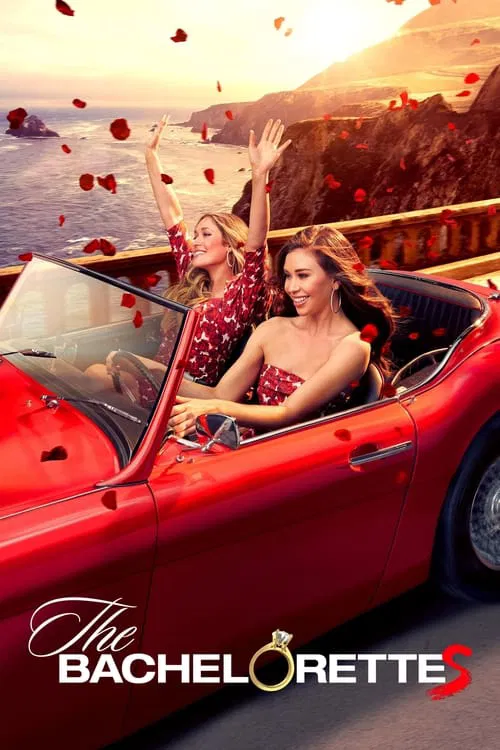 Poster for Season 19