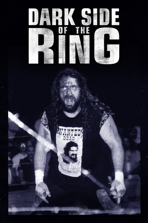 Poster for Season 6