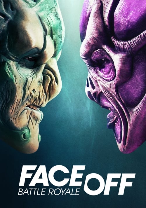 Poster for Season 13