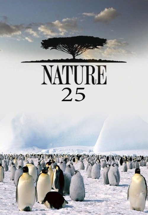 Poster for Season 25