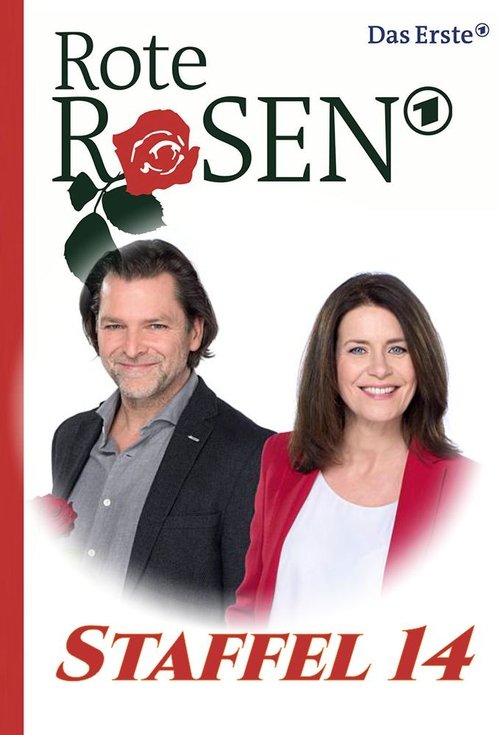 Poster for Season 14