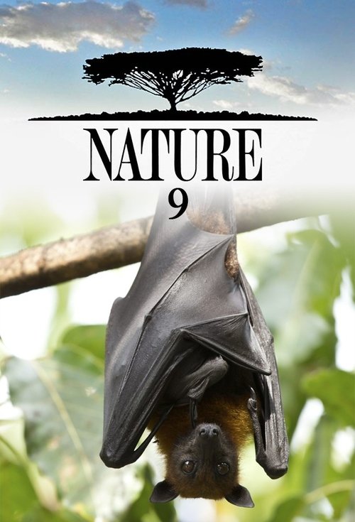 Poster for Season 9