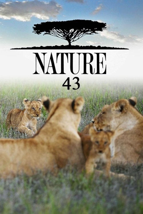 Poster for Season 43