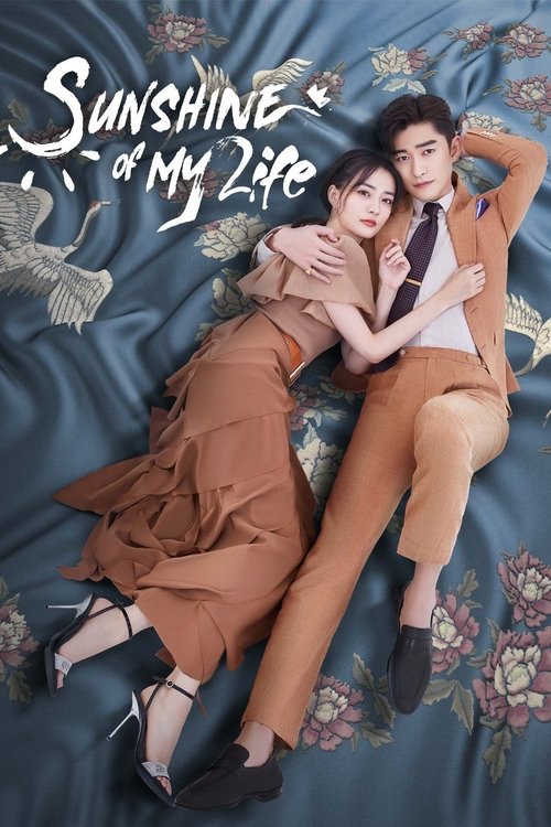 Poster for Sunshine of My Life