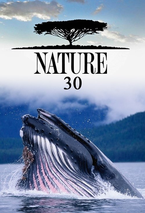 Poster for Season 30