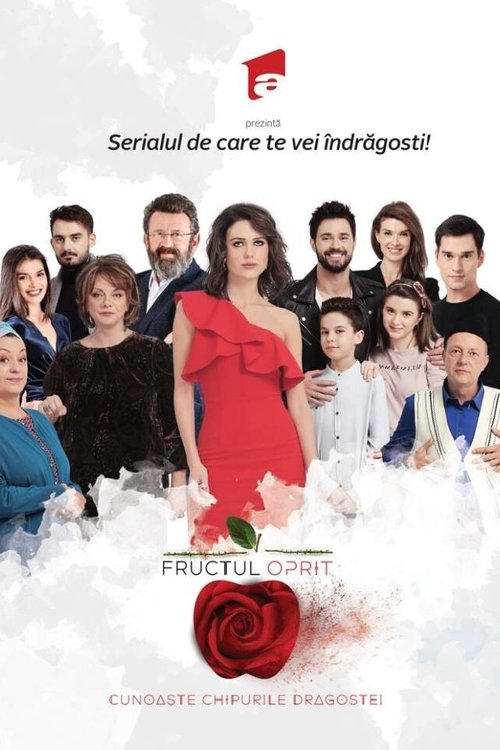 Poster for Season 1
