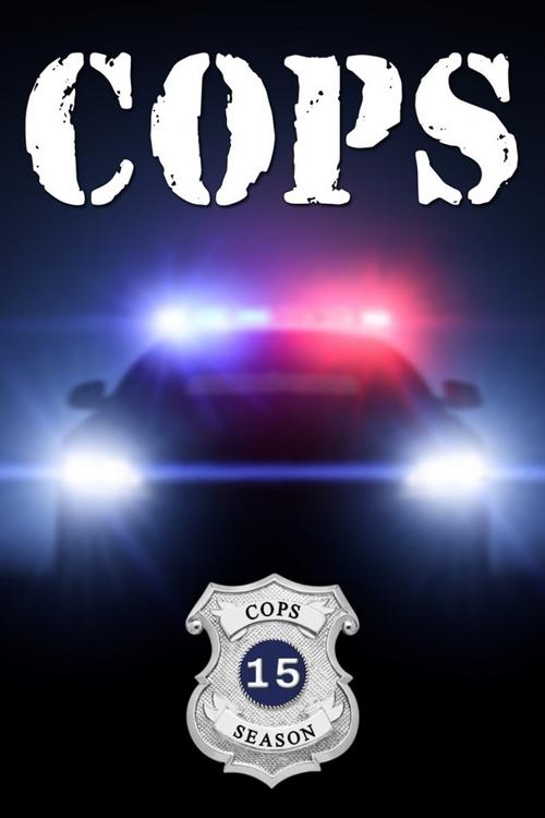 Poster for Season 15