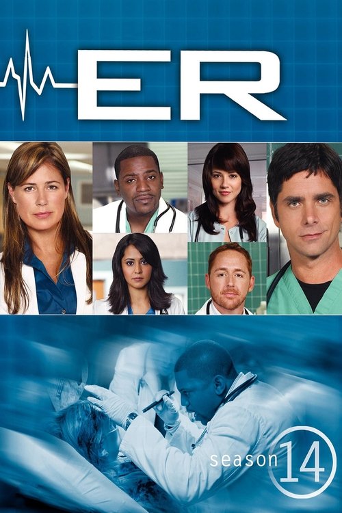 Poster for Season 14