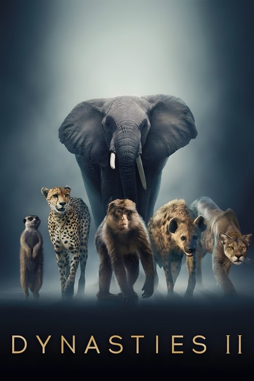 Poster for Dynasties