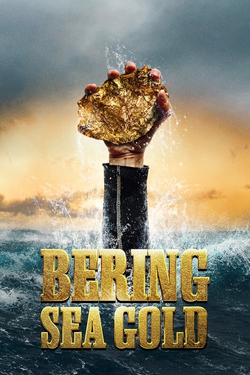 Poster for Season 13