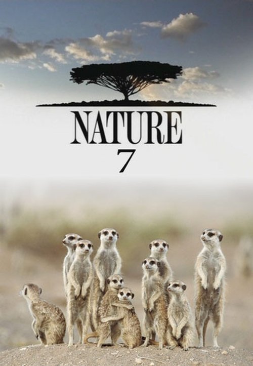Poster for Season 7
