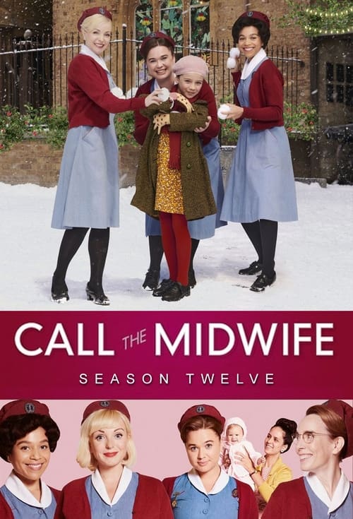 Poster for Series 12