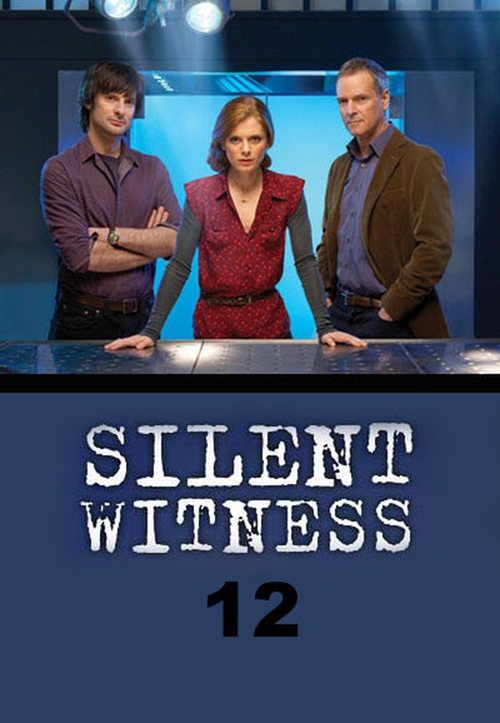 Poster for Series 12