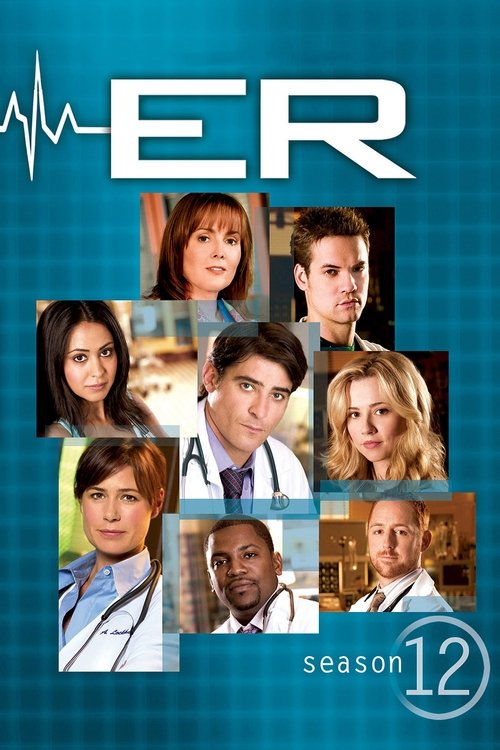 Poster for Season 12
