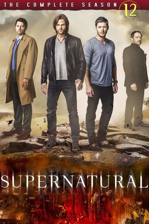 Poster for Season 12