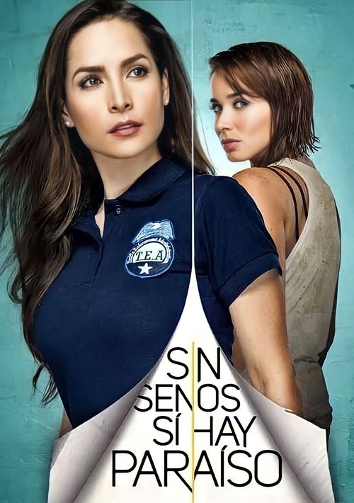 Poster for Season 2