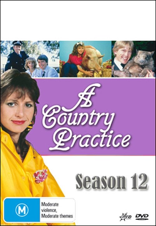 Poster for Season 13