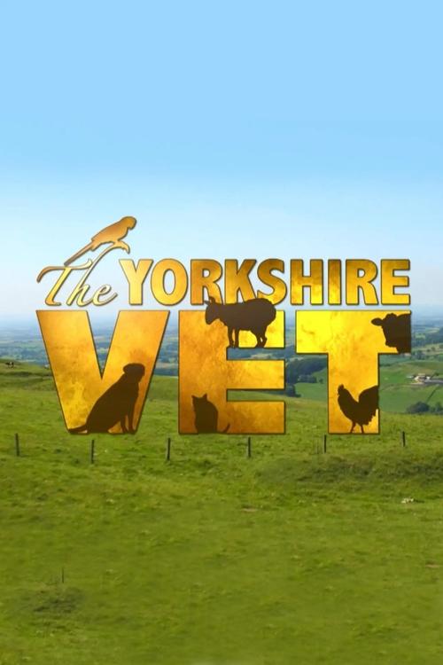 Poster for The Yorkshire Vet