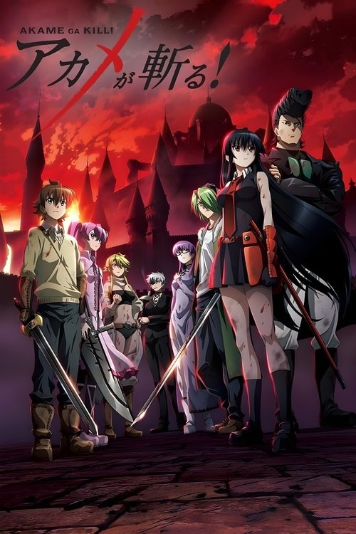 Poster for Akame ga Kill!