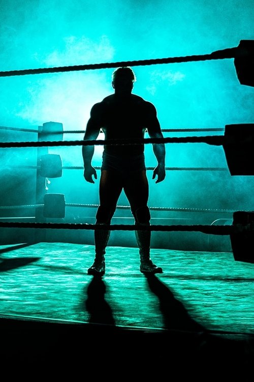Poster for Dark Side of the Ring