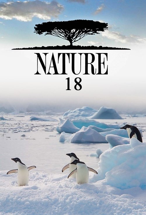 Poster for Season 18